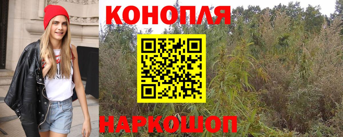 Бошки марихуана сатива  Вход с VPN  Рославль  Каннабис план 